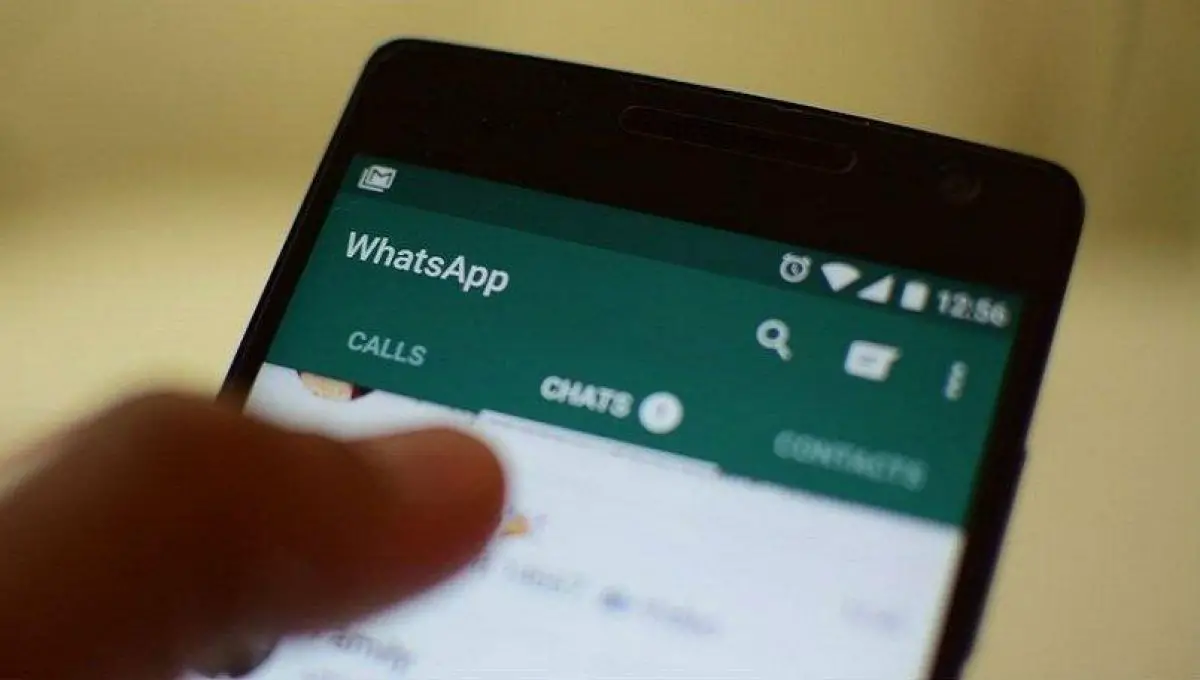 Whatsapp Actualiza Sus Reglas Y Advierte Que Podría Eliminar Tu Cuenta Si Usas Esta Palabra 0875